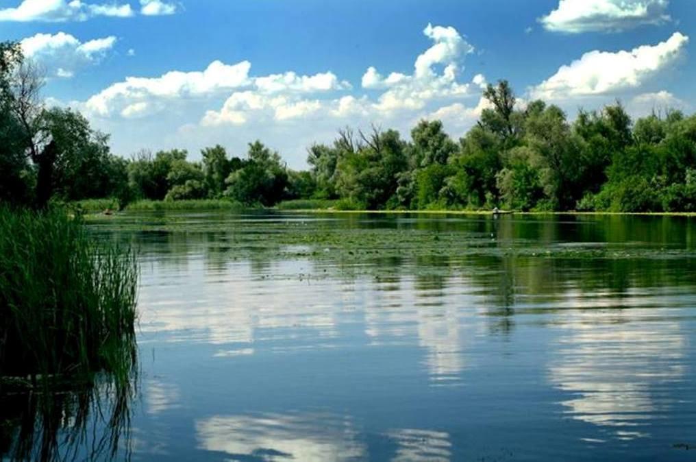 Family Complex Ekokomfort Sagunovka ภายนอก รูปภาพ