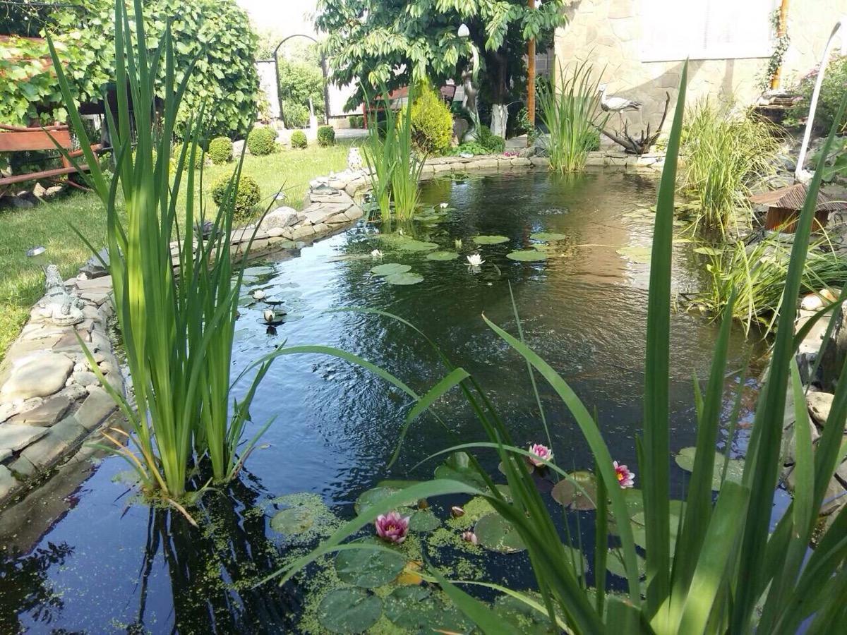 Family Complex Ekokomfort Sagunovka ภายนอก รูปภาพ